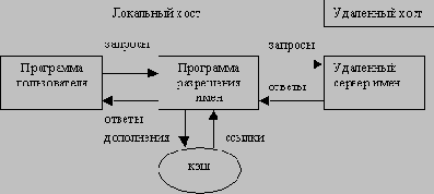 Состав и основные элементы DNS