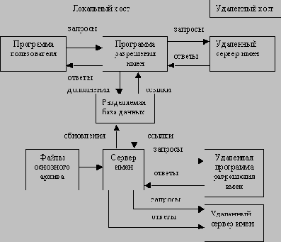 Состав и основные элементы DNS